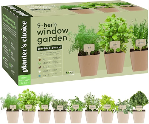 Planters' Herb Window Garden (9-Pack)