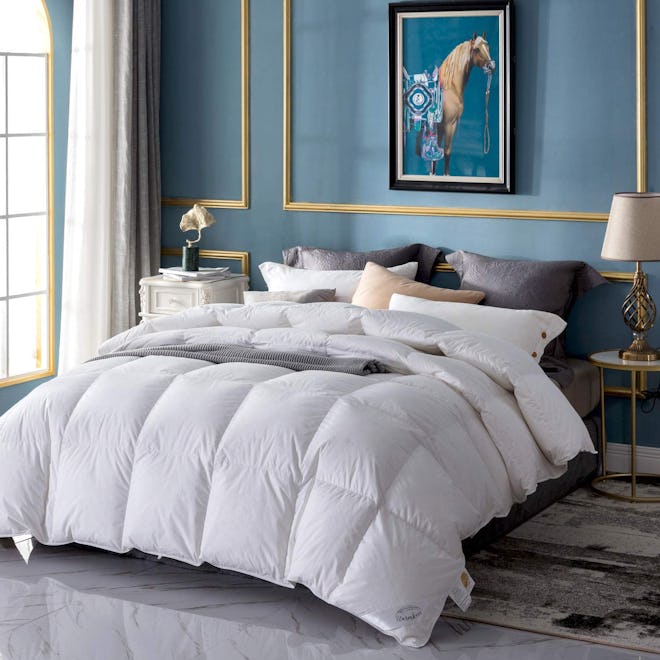WarmKiss Premium Home Down Comforter