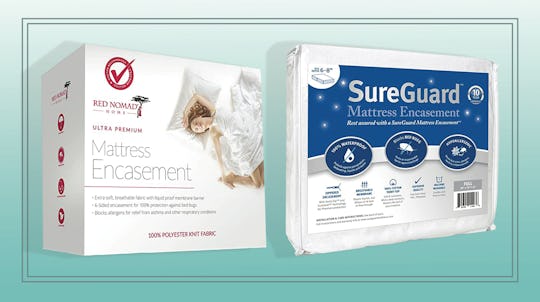 Best Bed Bug Mattress Covers