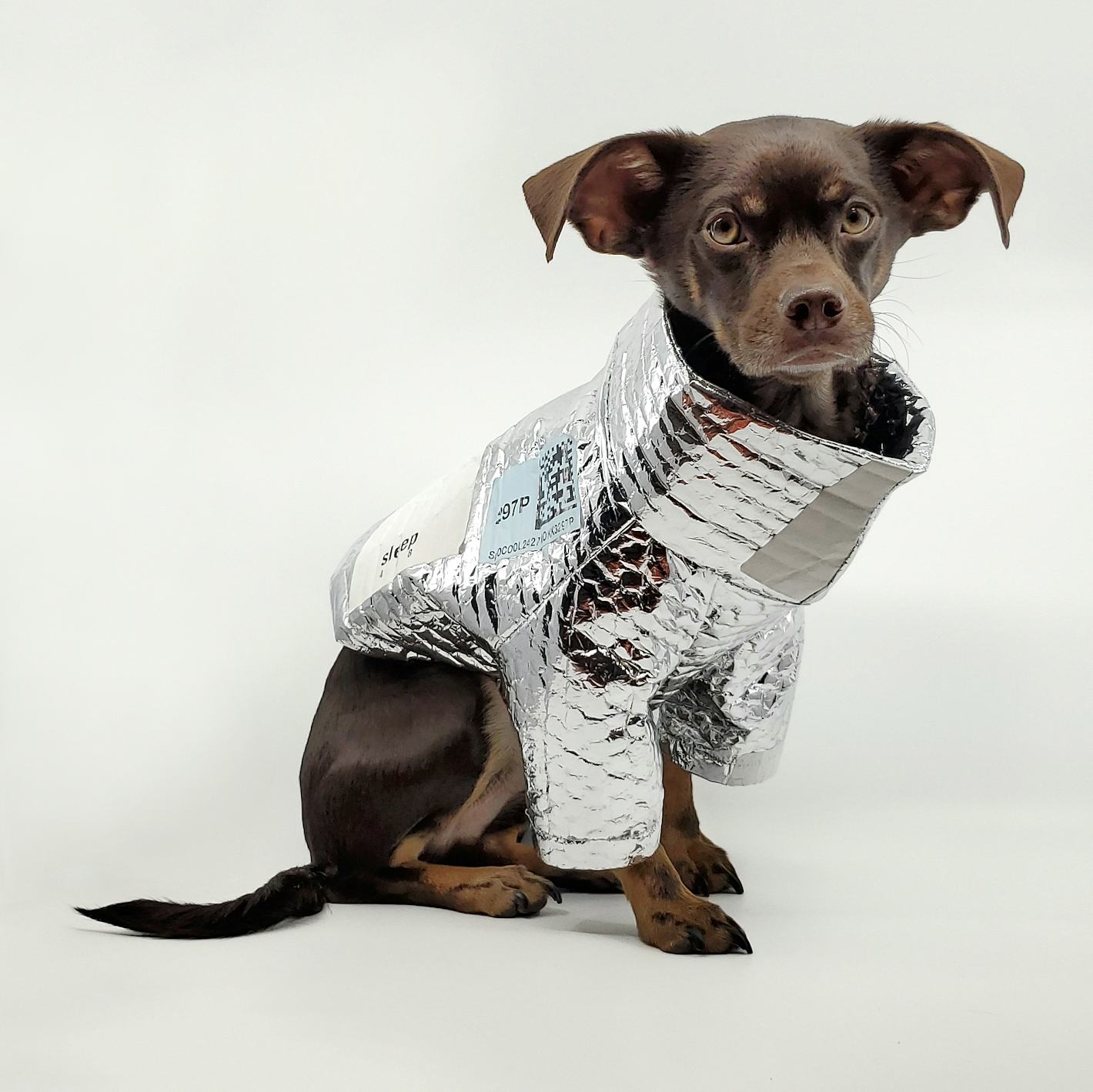 Rajeev Basu turns insulated grocery bags into hip dog jackets