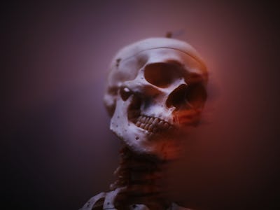 A skeleton 
