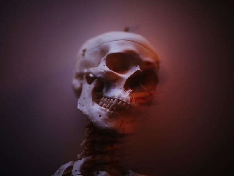 A skeleton 