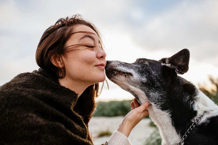 Young woman kissing dog