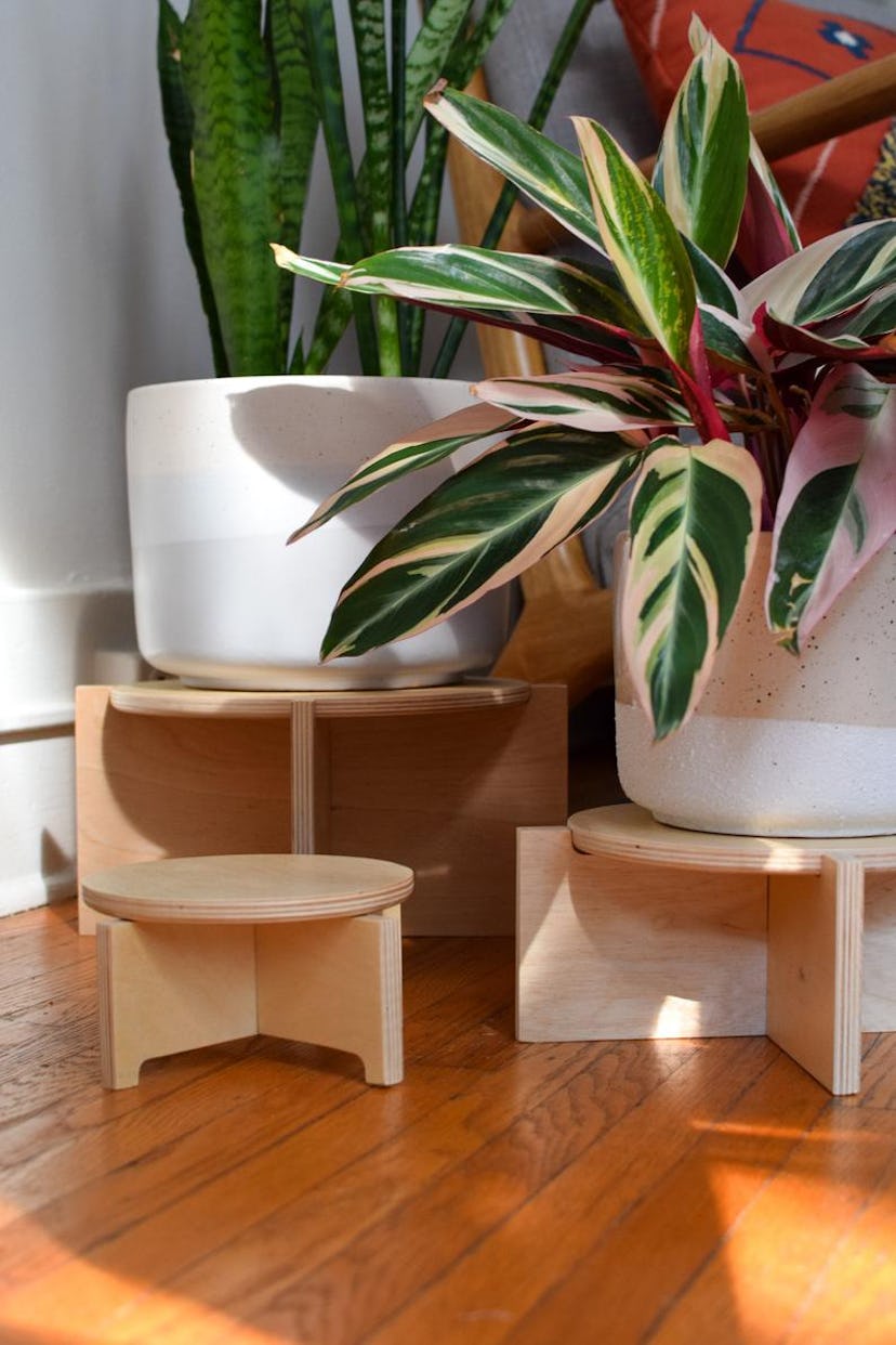 Ply Design Studios Modern Wood Plant Stand (Set of 3)