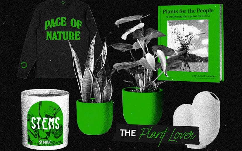 Some plants in accentuated pots, a shirt for plant lovers, a book about plants, and a cup for plant ...