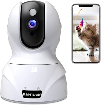 KAMTRON Wireless Security Camera