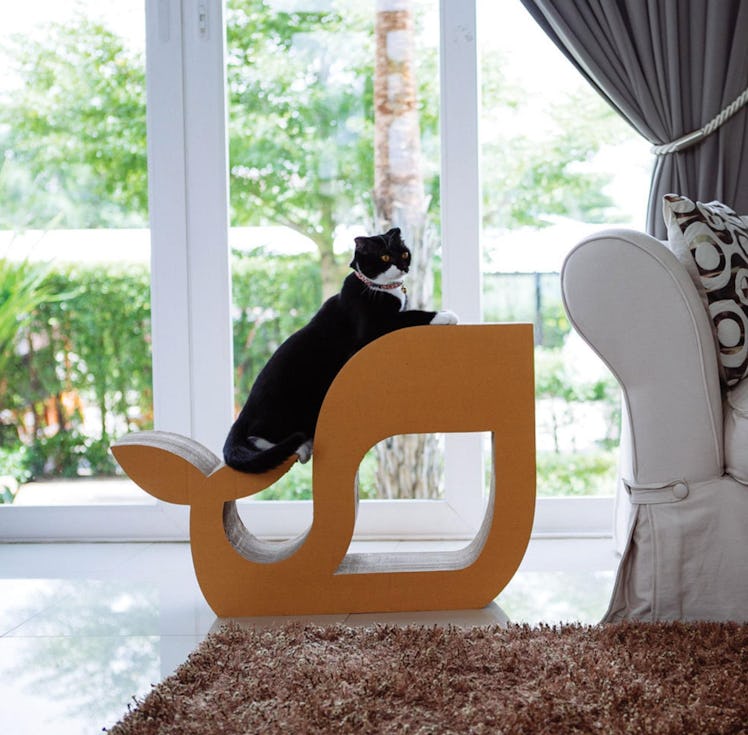 Whale-shaped cat scratcher