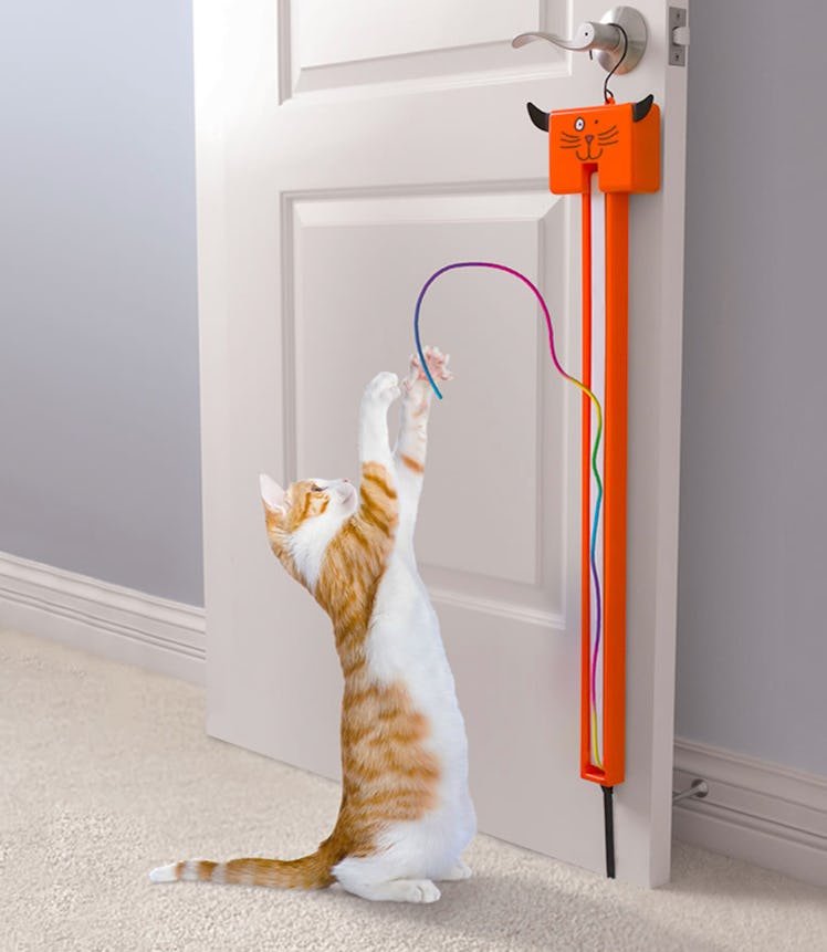 The Award Winning Cat String Toy