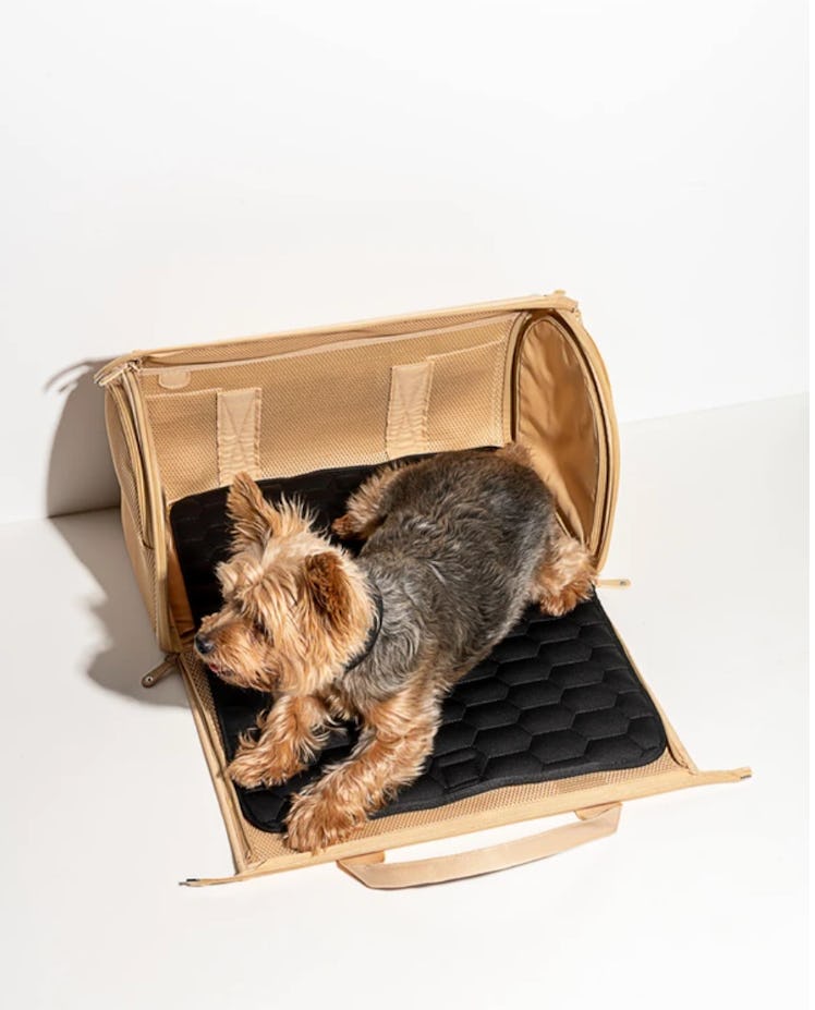 Travel Carrier