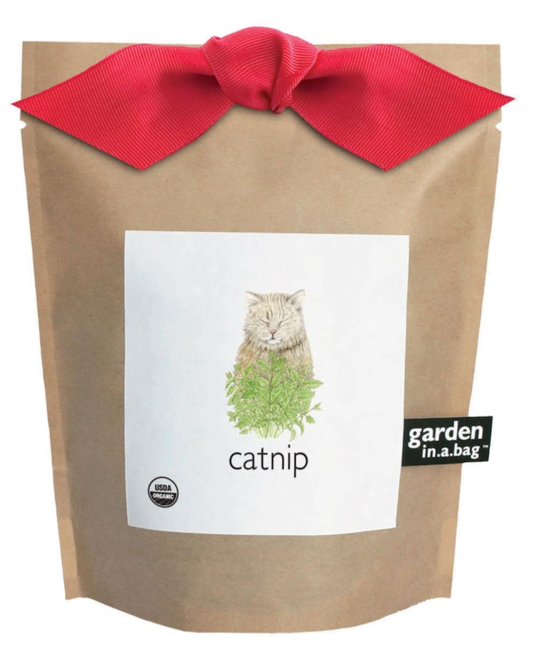 Catnip Garden in a Bag