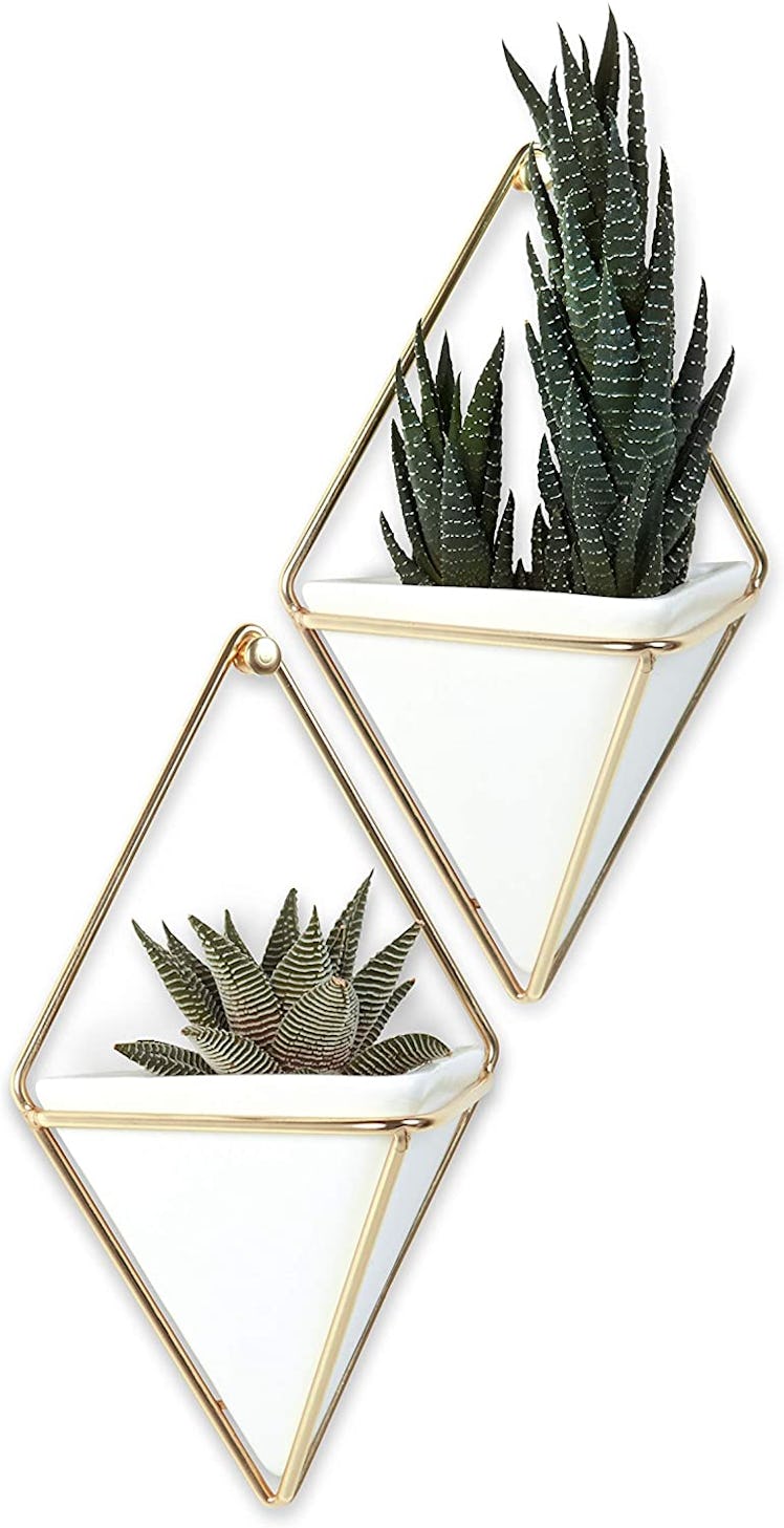 Umbra Trigg Hanging Planter 