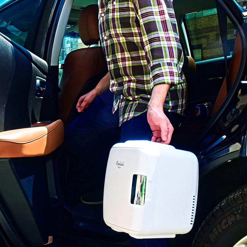 best car coolers