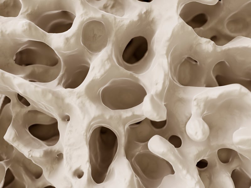 bones