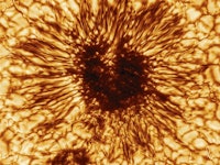 The most detailed image of a sunspot ever captured 