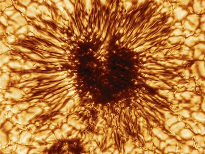 The most detailed image of a sunspot ever captured 