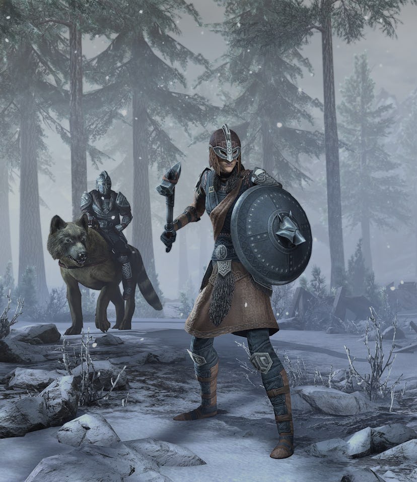 A group of armor-clad companions in the Elder Scrolls Online Choose Your Own Adventure Twitter threa...