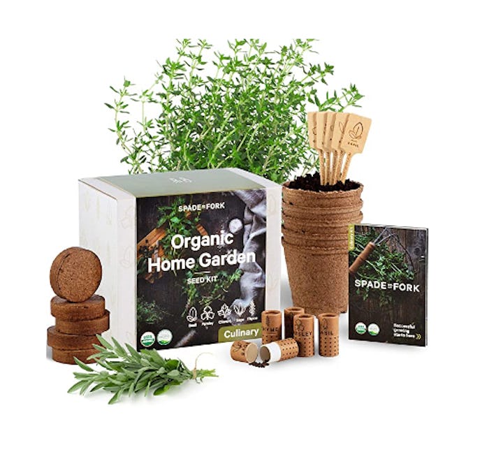 Indoor Herb Garden Starter Kit