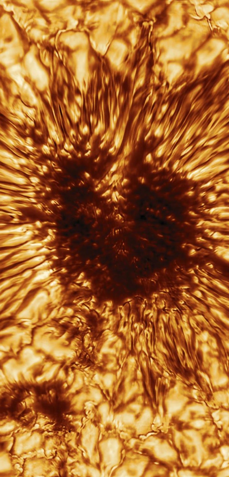 Detailed sunspot