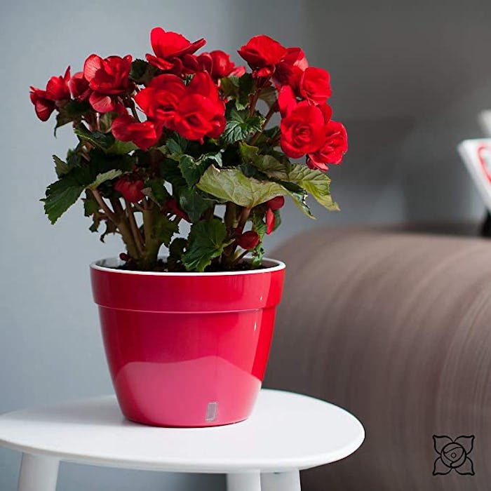 Santino Self Watering Planter