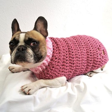 Crocheted Paw-Print Dog Jumper 