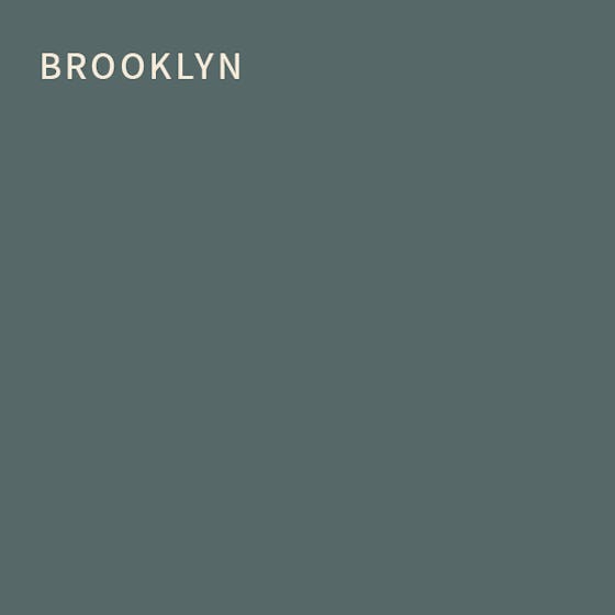 Brooklyn Extra Durable Flat Interior Paint & Primer