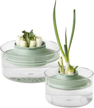 Brabantia Tasty+ Herbs and Vegetables Regrow Kit