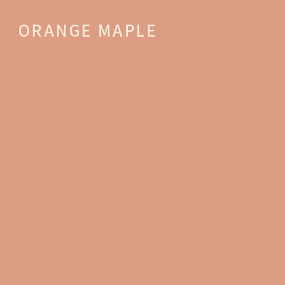 Orange Maple Flat Interior Paint with Primer