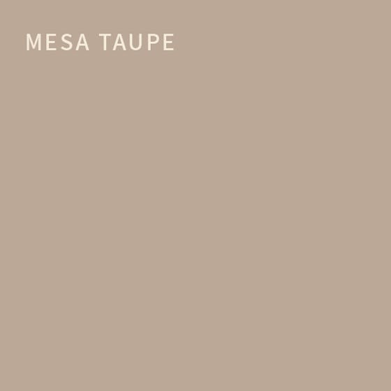 Mesa Taupe Extra Durable Flat Interior Paint & Primer