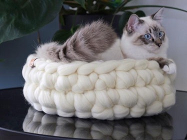Crochet Merino Wool Cat Basket