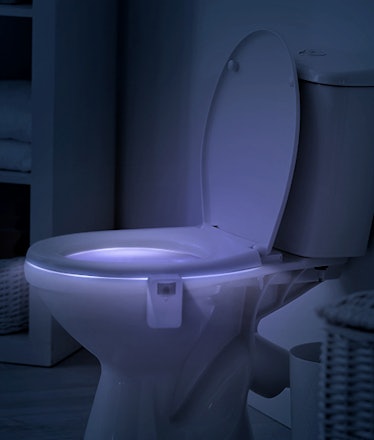LumiLux Toilet Night Light