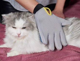 Pat Your Pet Grooming Glove