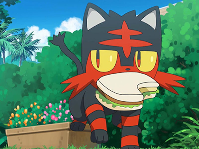 A screenshot of Litten in Pokemon Sword and Shield