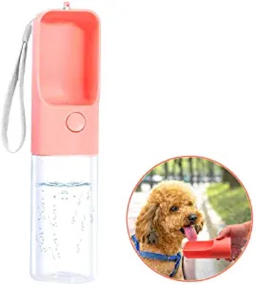 TRUE LOVE Dog Water Bottle