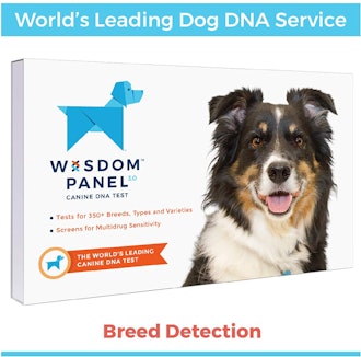Wisdom Panel 3.0 Canine DNA Test 