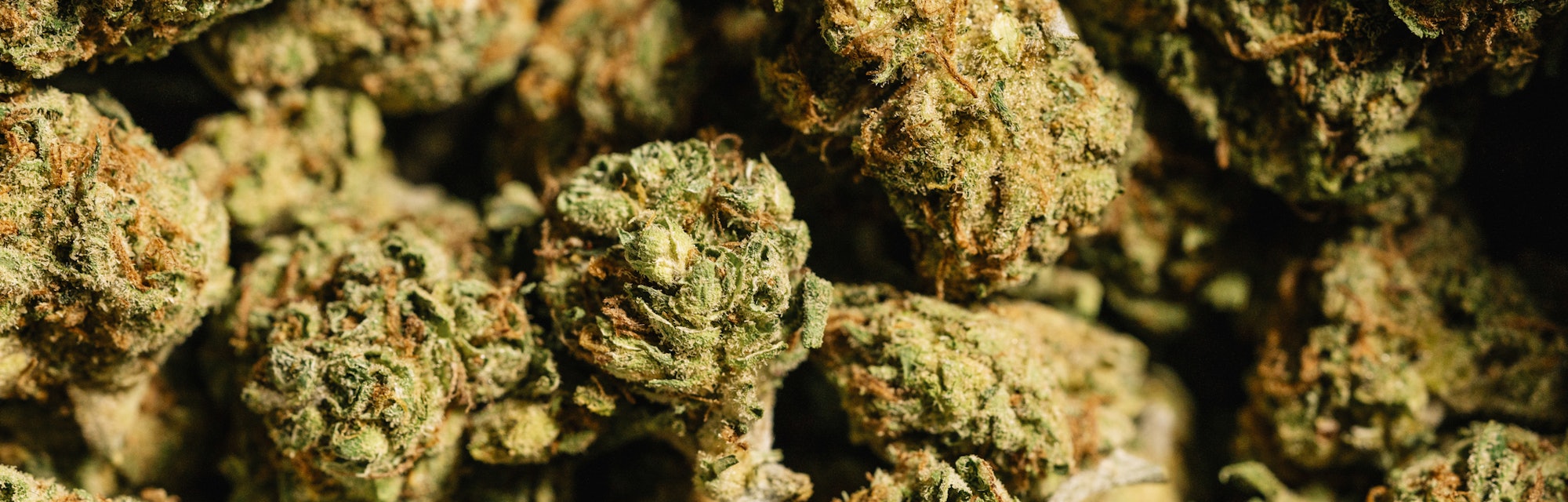 Does Smoking Marijuana Vs Vaping Thc Oil Make A Difference Experts Weigh In