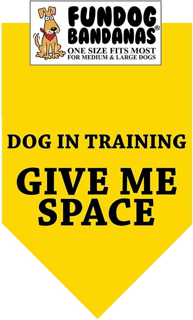 Give Me Space Dog Bandana