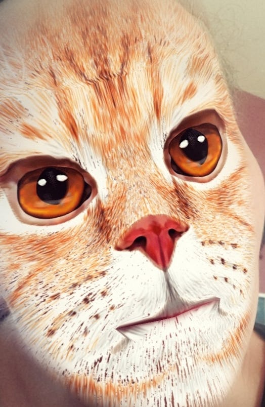 The best cat face filters on Snapchat will make you LOL.