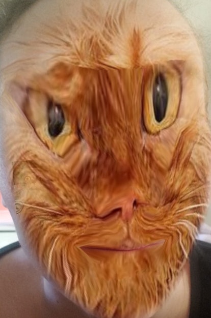 The best cat face filters on Snapchat to channel your inner cat.