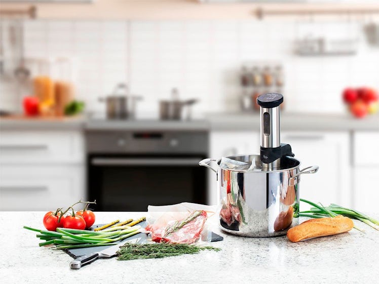 Strata Home Sous Vide Precision Cooker 1100