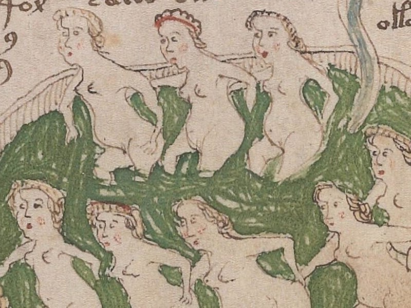 Illustrated nymphs in the Voynich manuscript.