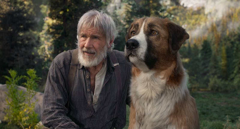 The 12 Best Movie Dogs Of All Time From Air Bud To Lassie