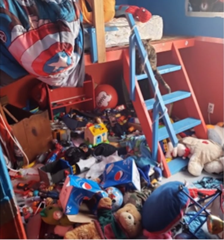 Some kids' playrooms are so messy even the pets are scared.