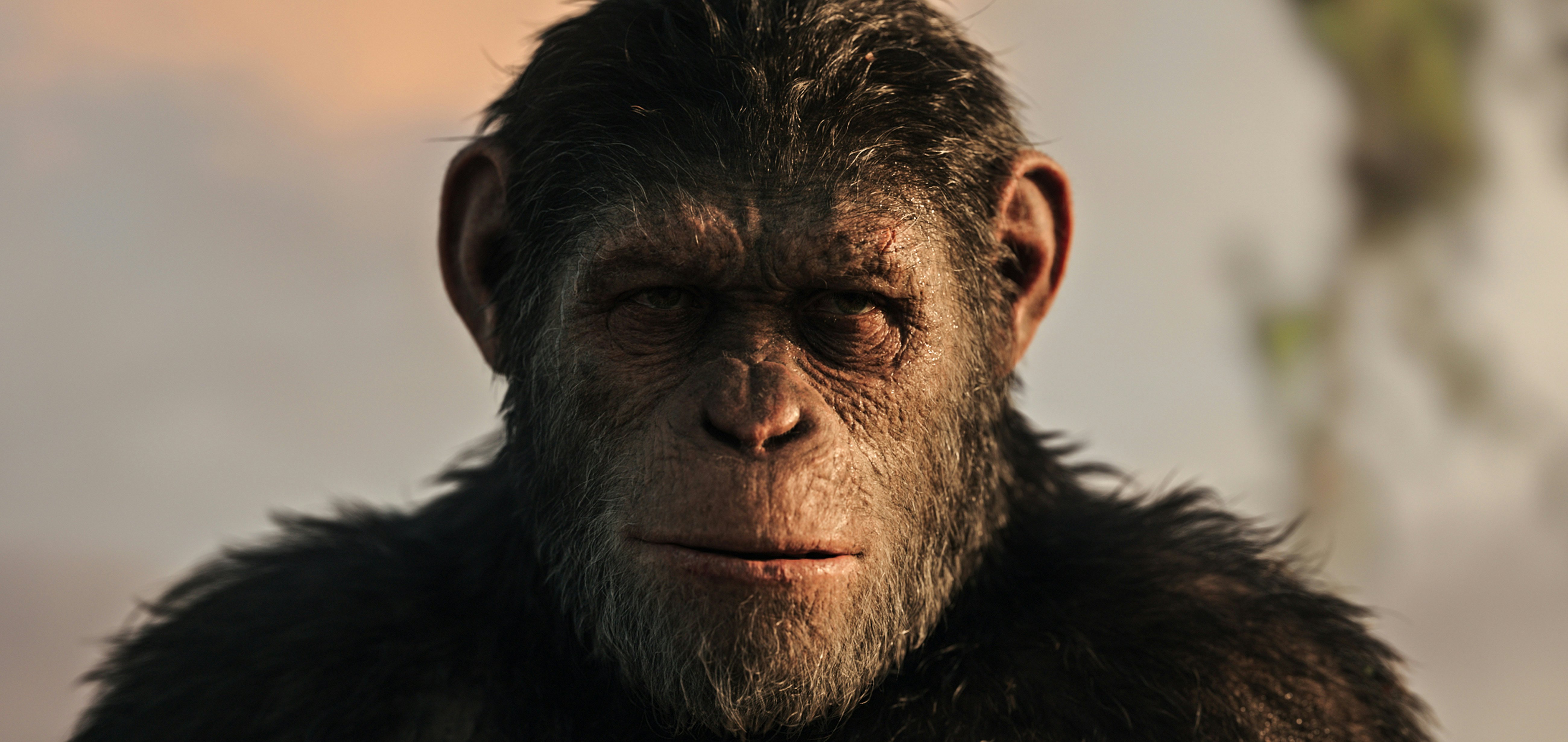 rise of the planet of the apes free movie