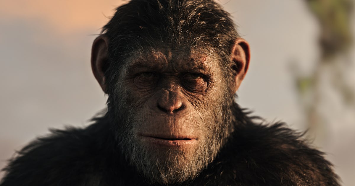 of the Apes 4' 2020 release date, trailer, cast, and more on