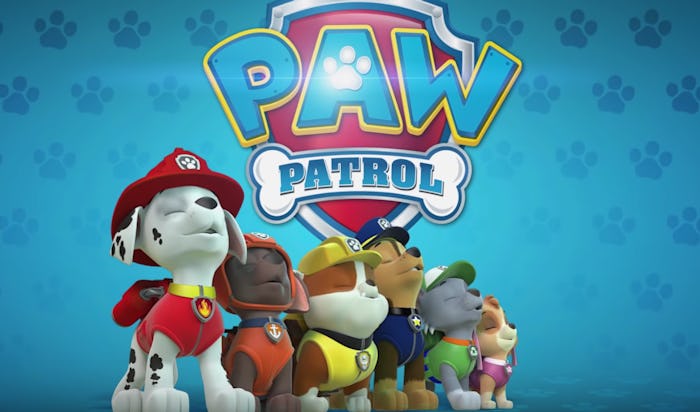 A 'Paw Patrol' movie will hit theaters later this summer.