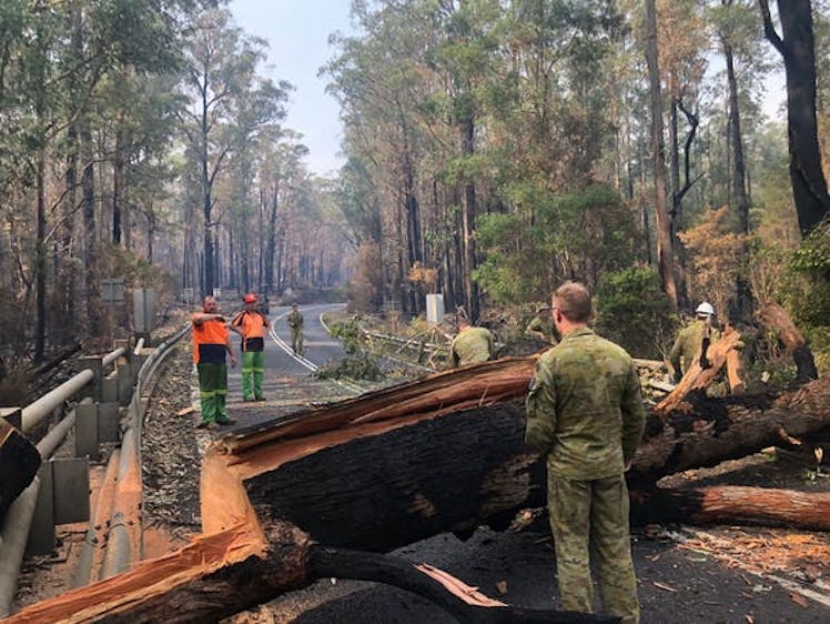 Defence and civilian authorities clear a tree blocking a road near Mallacoota in January.