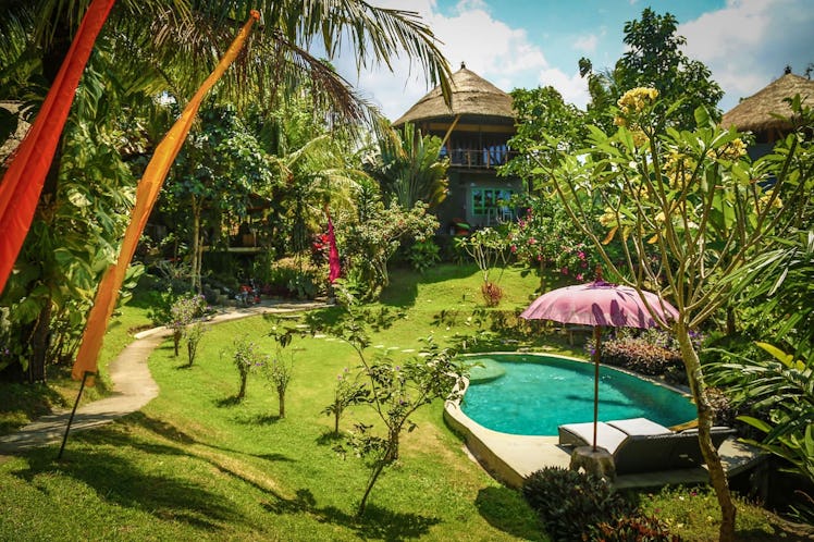 A treehouse in Bali has a beautiful pool and is surrounded by lush greenery.