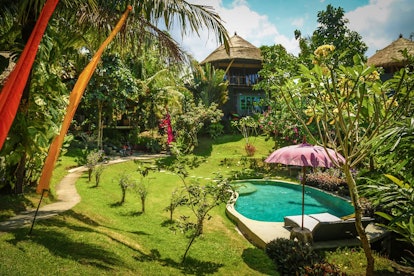 A treehouse in Bali has a beautiful pool and is surrounded by lush greenery.