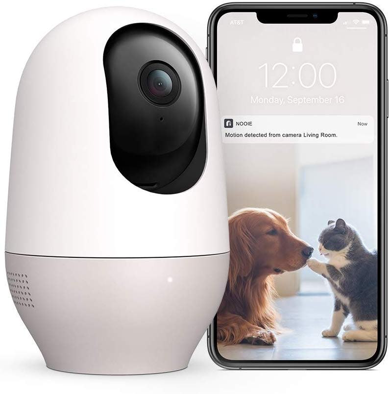 The 5 Best Pet Cameras For Cats