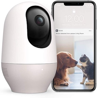 The Best Motion And Noise Sensor Pet Camera For Cats